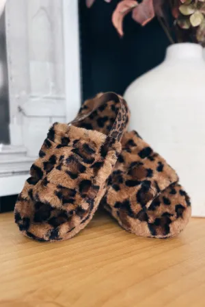 Cozy Catwalk Slippers