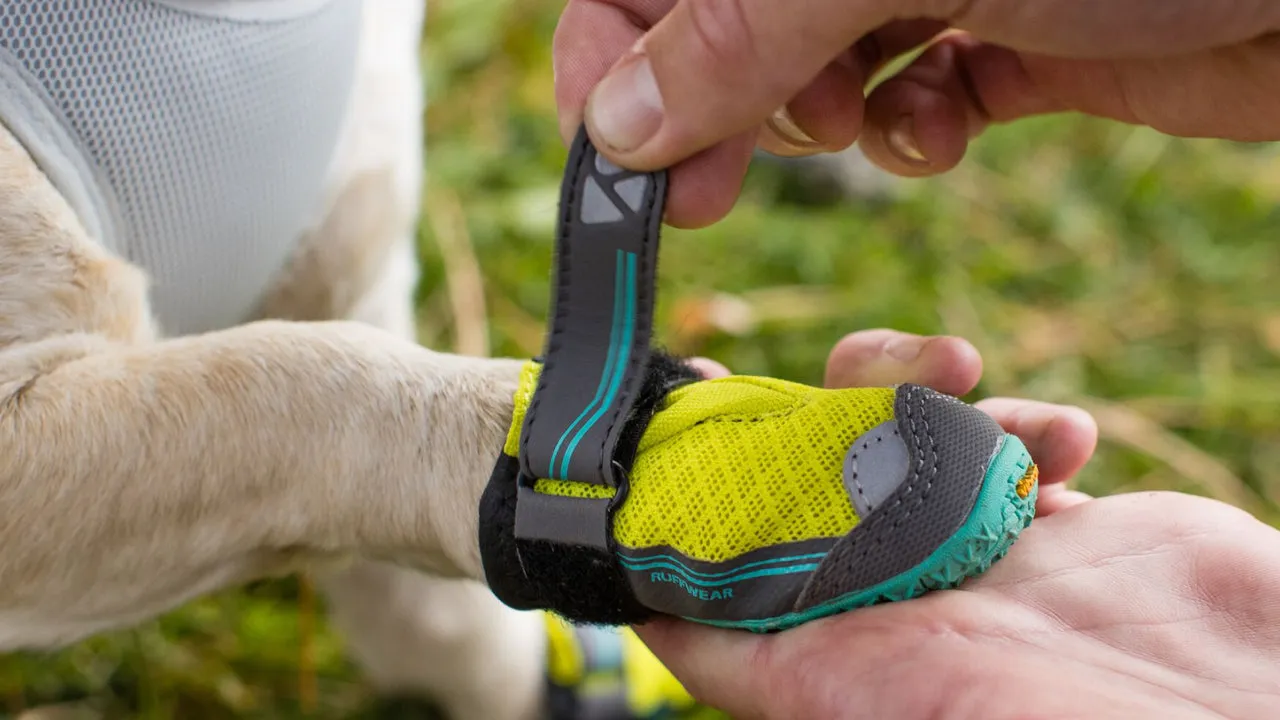 Grip Trex™ Dog Boots