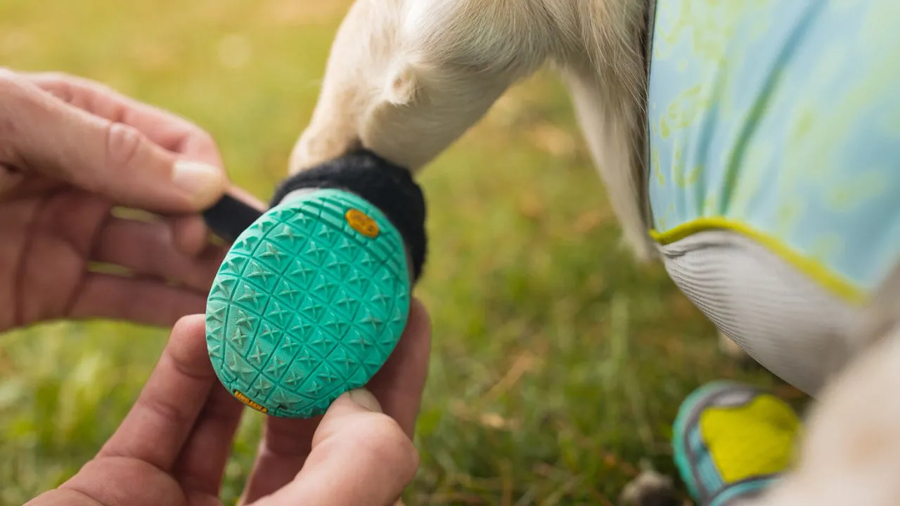 Grip Trex™ Dog Boots