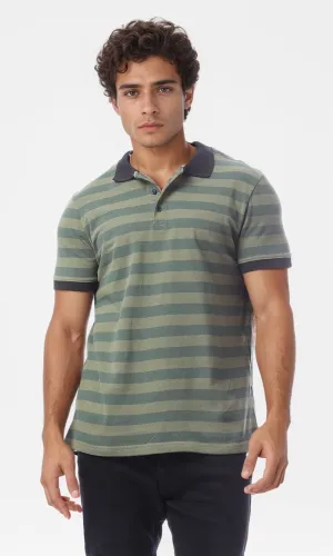 O154970 Stripped Short Sleeved With A Collar Polo Shirt